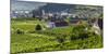 Village Spitz Nested in the Vineyards of the Wachau. Austria-Martin Zwick-Mounted Photographic Print