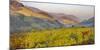 Village Spitz Nested in the Vineyards of the Wachau. Austria-Martin Zwick-Mounted Photographic Print
