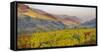 Village Spitz Nested in the Vineyards of the Wachau. Austria-Martin Zwick-Framed Stretched Canvas