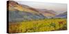 Village Spitz Nested in the Vineyards of the Wachau. Austria-Martin Zwick-Stretched Canvas