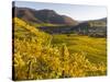 Village Spitz Nested in the Vineyards of the Wachau. Austria-Martin Zwick-Stretched Canvas