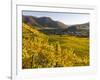 Village Spitz Nested in the Vineyards of the Wachau. Austria-Martin Zwick-Framed Photographic Print