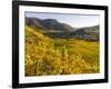 Village Spitz Nested in the Vineyards of the Wachau. Austria-Martin Zwick-Framed Photographic Print