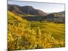 Village Spitz Nested in the Vineyards of the Wachau. Austria-Martin Zwick-Mounted Photographic Print