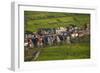 Village, Stilt Houses That are Seasonally Flooded, Near Siem Reap-David Wall-Framed Photographic Print