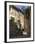 Village Street, Fornalutx, Near Soller, Majorca (Mallorca), Balearic Islands, Spain-Ruth Tomlinson-Framed Photographic Print