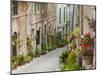 Village Street, Valldemossa, Mallorca, Balearic Islands, Spain-Doug Pearson-Mounted Photographic Print