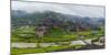 Village with farmland in morning mist, Chengyang, Sanjiang, Guangxi Province, China-Keren Su-Mounted Photographic Print