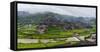 Village with farmland in morning mist, Chengyang, Sanjiang, Guangxi Province, China-Keren Su-Framed Stretched Canvas