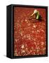 Villager Dries Red Chilies at Rambha, India-null-Framed Stretched Canvas