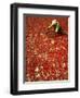 Villager Dries Red Chilies at Rambha, India-null-Framed Photographic Print