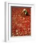 Villager Dries Red Chilies at Rambha, India-null-Framed Photographic Print