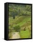 Villagers on Road, Maramures, Romania-Russell Young-Framed Stretched Canvas