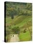 Villagers on Road, Maramures, Romania-Russell Young-Stretched Canvas