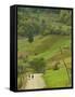 Villagers on Road, Maramures, Romania-Russell Young-Framed Stretched Canvas