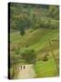 Villagers on Road, Maramures, Romania-Russell Young-Stretched Canvas