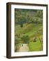 Villagers on Road, Maramures, Romania-Russell Young-Framed Photographic Print