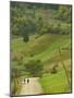 Villagers on Road, Maramures, Romania-Russell Young-Mounted Photographic Print
