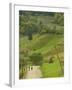 Villagers on Road, Maramures, Romania-Russell Young-Framed Photographic Print