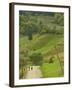 Villagers on Road, Maramures, Romania-Russell Young-Framed Photographic Print