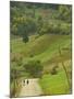 Villagers on Road, Maramures, Romania-Russell Young-Mounted Photographic Print