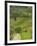 Villagers on Road, Maramures, Romania-Russell Young-Framed Photographic Print