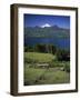 Villarrica Volcano, Chile-null-Framed Photographic Print