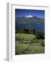 Villarrica Volcano, Chile-null-Framed Photographic Print