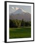 Villarrica Volcano, Villarrica National Park, Chile-Scott T. Smith-Framed Premium Photographic Print