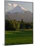 Villarrica Volcano, Villarrica National Park, Chile-Scott T. Smith-Mounted Photographic Print