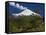 Villarrica Volcano, Villarrica National Park, Chile-Scott T. Smith-Framed Stretched Canvas