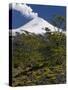 Villarrica Volcano, Villarrica National Park, Chile-Scott T. Smith-Stretched Canvas