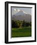 Villarrica Volcano, Villarrica National Park, Chile-Scott T. Smith-Framed Photographic Print