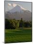 Villarrica Volcano, Villarrica National Park, Chile-Scott T. Smith-Mounted Photographic Print