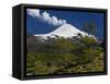 Villarrica Volcano, Villarrica National Park, Chile-Scott T. Smith-Framed Stretched Canvas