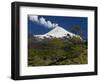 Villarrica Volcano, Villarrica National Park, Chile-Scott T. Smith-Framed Photographic Print