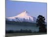 Villarrica Volcano, Villarrica National Park, Pucon, Chile, South America-Jochen Schlenker-Mounted Photographic Print