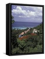 Villas on the Hillside, Saint Croix, Caribbean-Greg Johnston-Framed Stretched Canvas