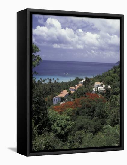 Villas on the Hillside, Saint Croix, Caribbean-Greg Johnston-Framed Stretched Canvas
