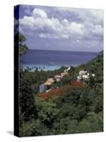 Villas on the Hillside, Saint Croix, Caribbean-Greg Johnston-Stretched Canvas