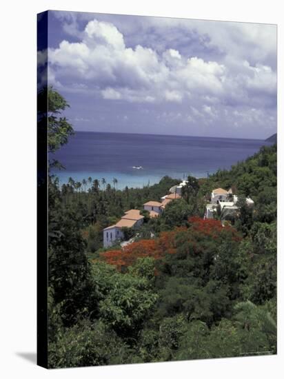 Villas on the Hillside, Saint Croix, Caribbean-Greg Johnston-Stretched Canvas