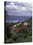 Villas on the Hillside, Saint Croix, Caribbean-Greg Johnston-Stretched Canvas