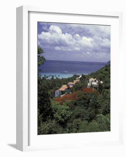 Villas on the Hillside, Saint Croix, Caribbean-Greg Johnston-Framed Photographic Print