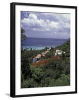 Villas on the Hillside, Saint Croix, Caribbean-Greg Johnston-Framed Photographic Print