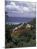 Villas on the Hillside, Saint Croix, Caribbean-Greg Johnston-Mounted Photographic Print