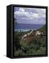 Villas on the Hillside, Saint Croix, Caribbean-Greg Johnston-Framed Stretched Canvas