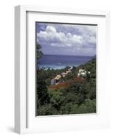 Villas on the Hillside, Saint Croix, Caribbean-Greg Johnston-Framed Photographic Print