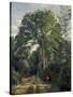 Ville D'Avray: Entrance to the Wood, C.1825-Jean-Baptiste-Camille Corot-Stretched Canvas