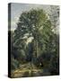 Ville D'Avray: Entrance to the Wood, C.1825-Jean-Baptiste-Camille Corot-Stretched Canvas