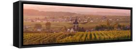 Ville Dommange and its Vineyards, Champagne Ardenne, France-Matteo Colombo-Framed Stretched Canvas